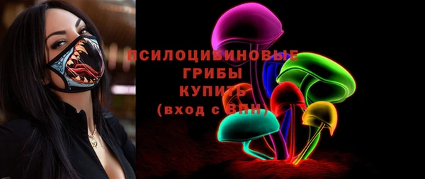 прущие грибы Протвино