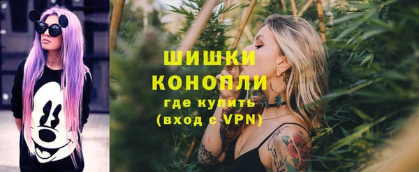 прущие грибы Протвино