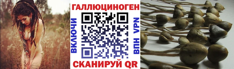 Галлюциногенные грибы GOLDEN TEACHER Борзя