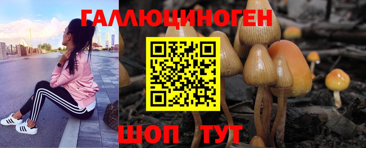 Галлюциногенные грибы Cubensis Борзя