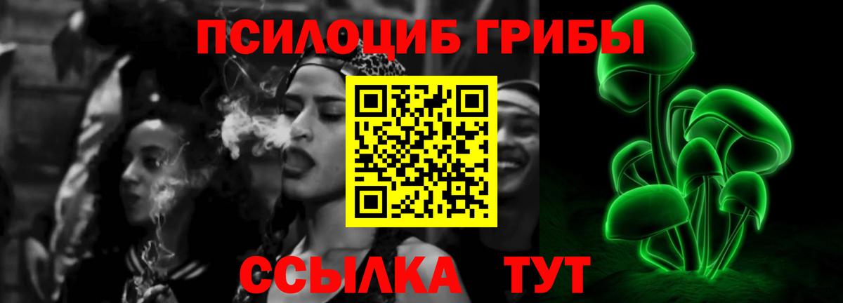 Борзя  Галлюциногенные грибы прущие грибы  Вход с VPN 